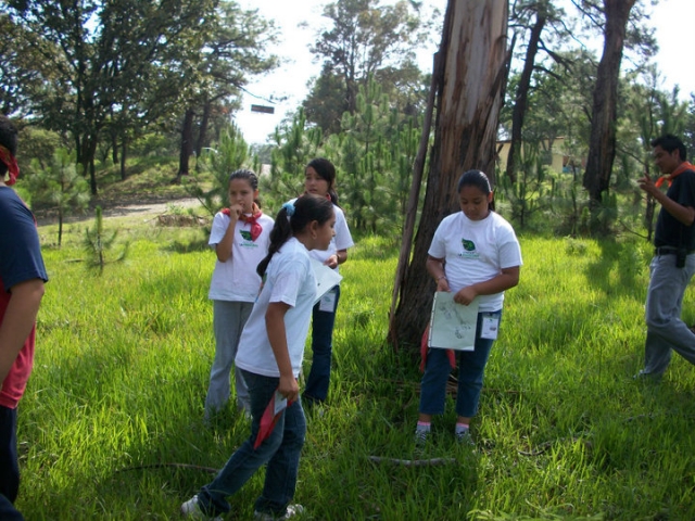  Games in the forest 